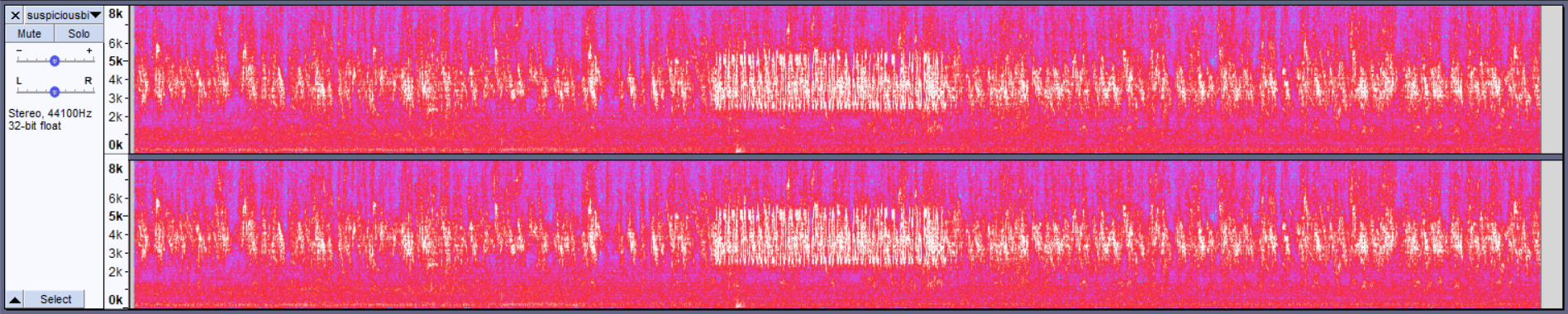 suspiciousbirds.mp3 spectrogram